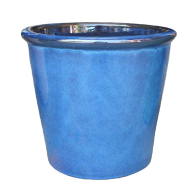 Halcy on Pottery Shrub Imperial Blue