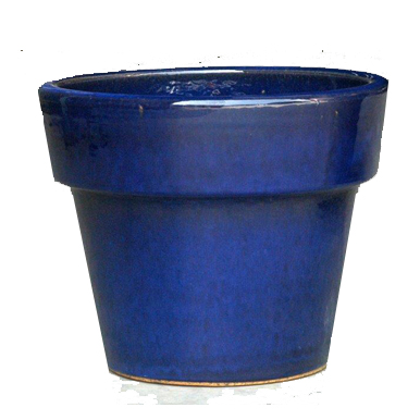 Halcy on Pottery Collar Imperial Blue